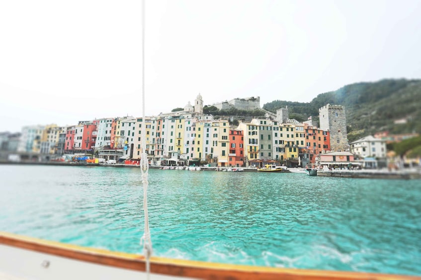 Picture 6 for Activity La Spezia: Portovenere, Lerici, & Palmaria Island Boat Trip
