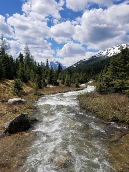 Picture 1 for Activity Skoki Lake Louise Daily Guided Hike in the Canadian Rockies
