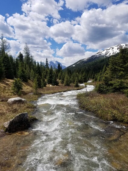 Picture 1 for Activity Skoki Lake Louise Daily Guided Hike in the Canadian Rockies