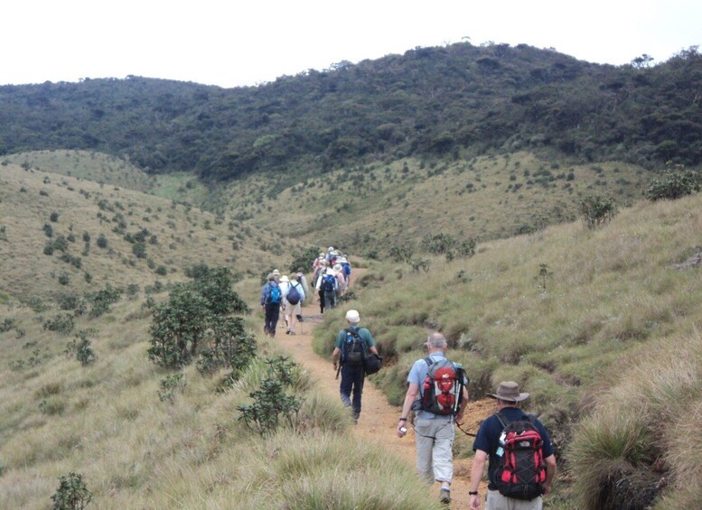 Picture 3 for Activity Sri Lanka Holidays with 5 Days trekking the pekoe trail