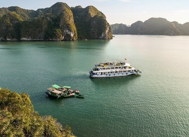 Cat Ba Island: Dagscruise i Lan Ha-bukten med kajakk/snorkling