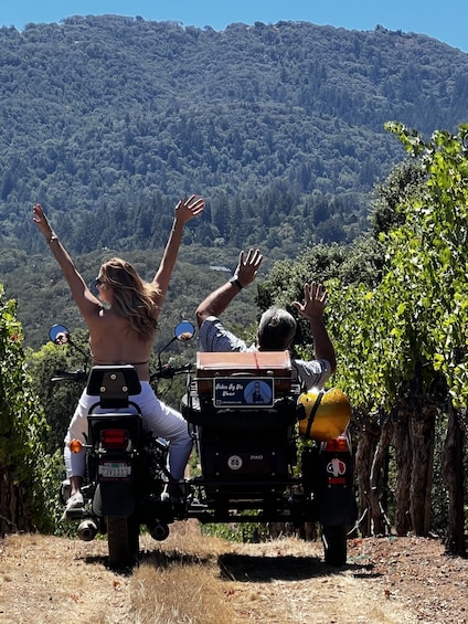 From Sonoma: Napa Valley Classic Sidecar Tour to 3 Wineries