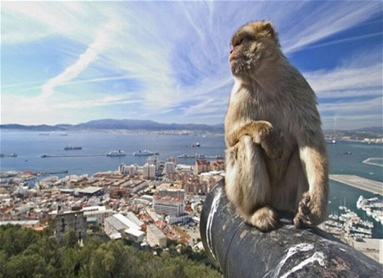 Picture 3 for Activity Gibraltar: World War II and Fortress Highlights Tour