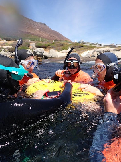 Picture 3 for Activity Cape Town: Great African Sea Forest Guided Snorkel