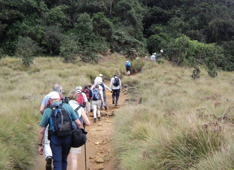 Picture 2 for Activity Sri Lanka Holidays with one week trekking the pekoe trail