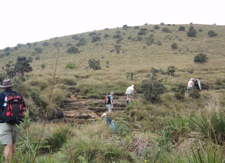 Picture 18 for Activity Sri Lanka Holidays with one week trekking the pekoe trail