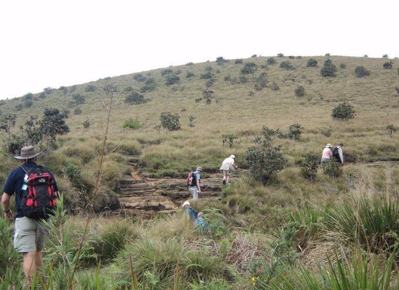 Picture 18 for Activity Sri Lanka Holidays with one week trekking the pekoe trail