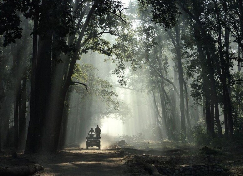 Picture 7 for Activity Three Days Jim Corbett National Park Tour