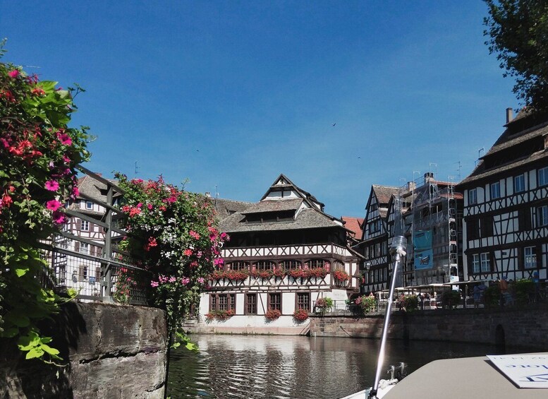 Picture 6 for Activity Strasbourg: Private City Sightseeing Boat Tour