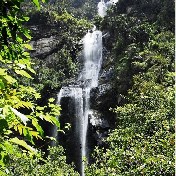 Picture 2 for Activity La Chorrera Waterfall Hike