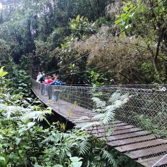 Picture 7 for Activity La Chorrera Waterfall Hike