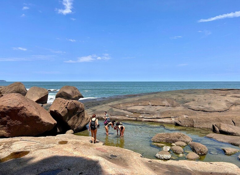 Picture 5 for Activity Ubatuba - Praia Brava de Itamambuca