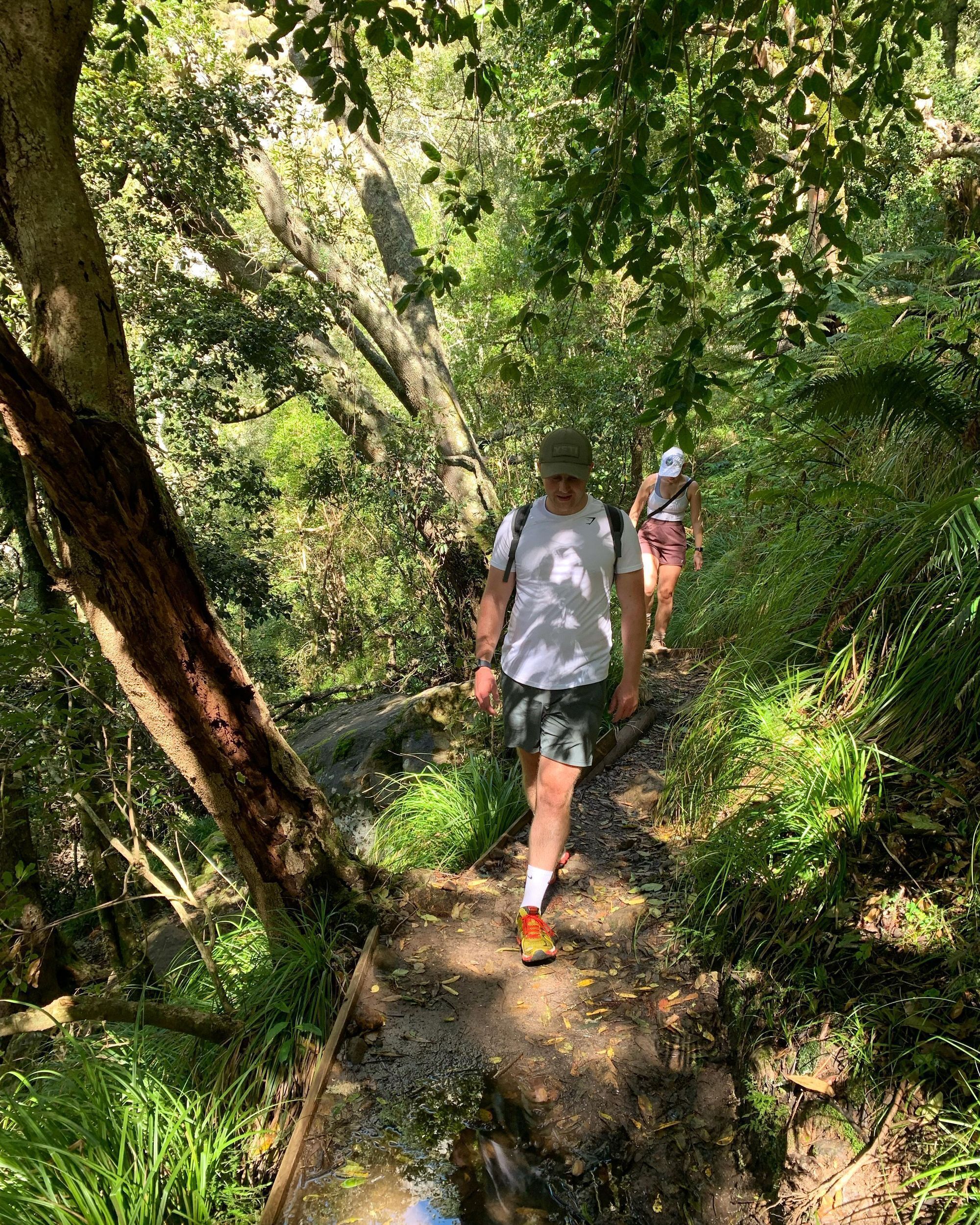 Cape Town: Skeleton Gorge and Kirstenbosch Gardens Hike