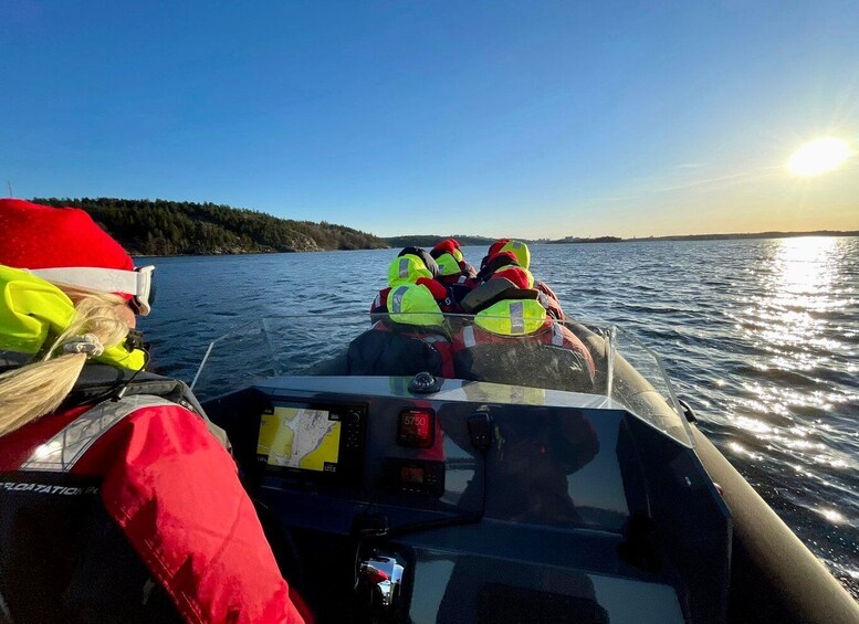 Picture 3 for Activity Stockholm: 2-Hour RIB Speed Boat Tour of the Archipelago