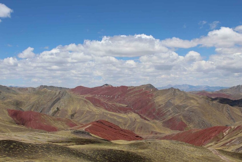 Picture 6 for Activity Cusco: Mountain of Colors Palcoyo, an unforgettable tour