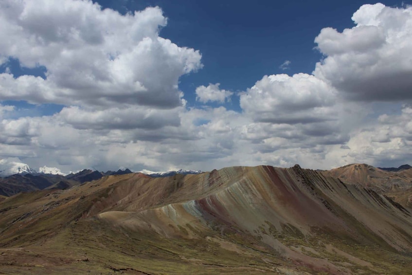 Picture 3 for Activity Cusco: Mountain of Colors Palcoyo, an unforgettable tour