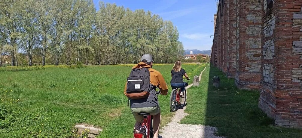 Picture 2 for Activity Bike Self-Tour in the Lucca Countryside and Green Landscapes
