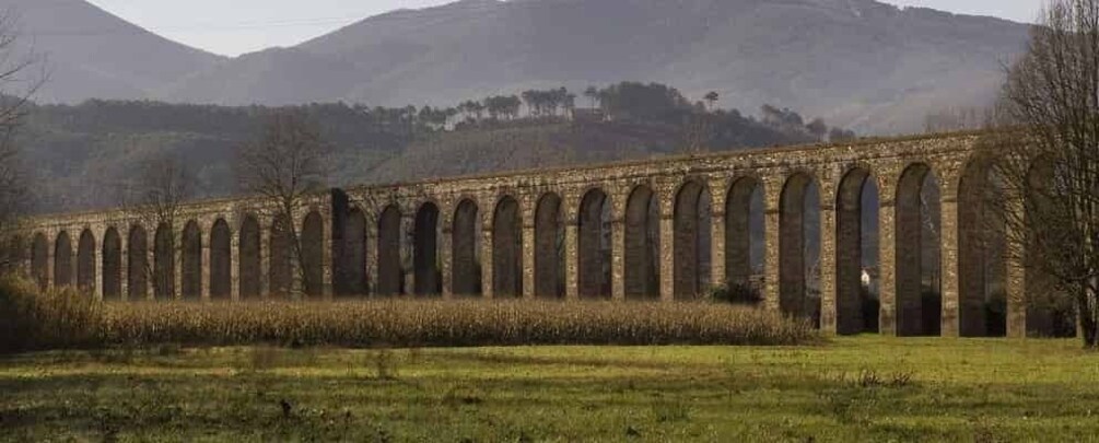 Bike Self-Tour in the Lucca Countryside and Green Landscapes