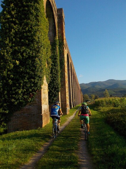 Picture 1 for Activity Bike Self-Tour in the Lucca Countryside and Green Landscapes