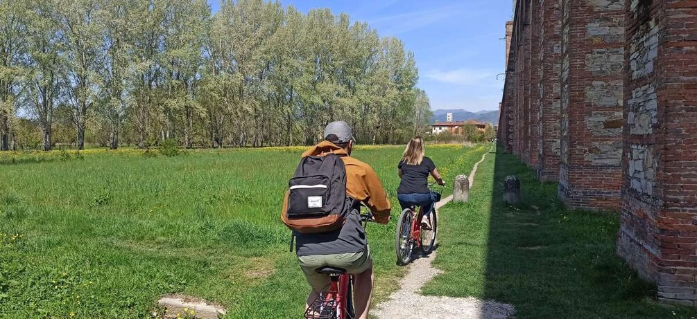 Picture 2 for Activity Bike Self-Tour in the Lucca Countryside and Green Landscapes
