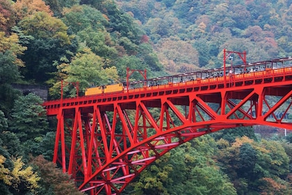 1 Day Tour from Kanazawa: Kurobe Gorge and Unazuki Onsen