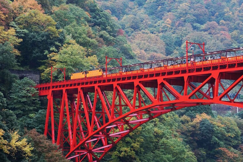 1 Day Tour from Kanazawa: Kurobe Gorge and Unazuki Onsen