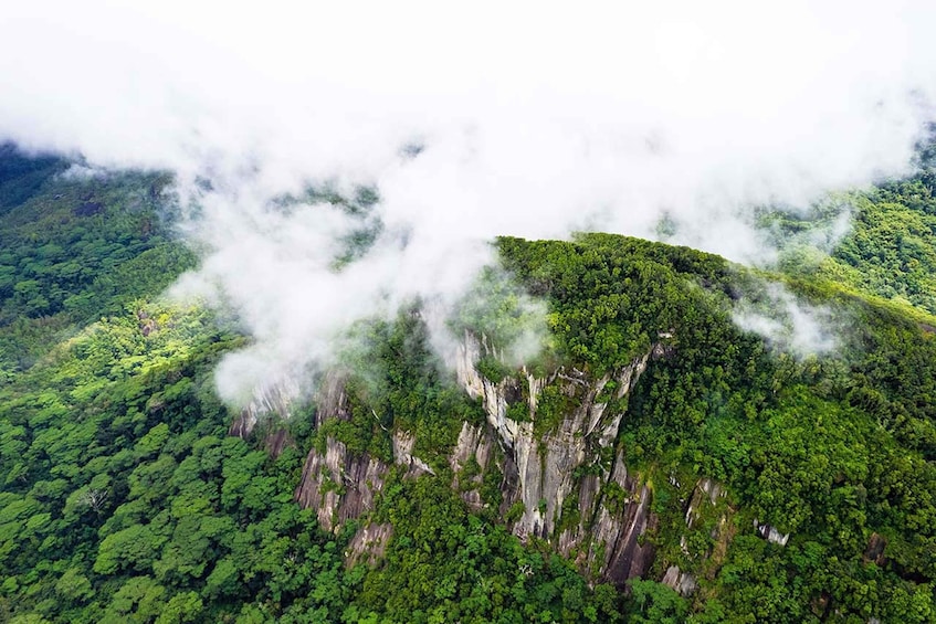 From Mahe: Guided Nature Trail Walk to Morne Blanc