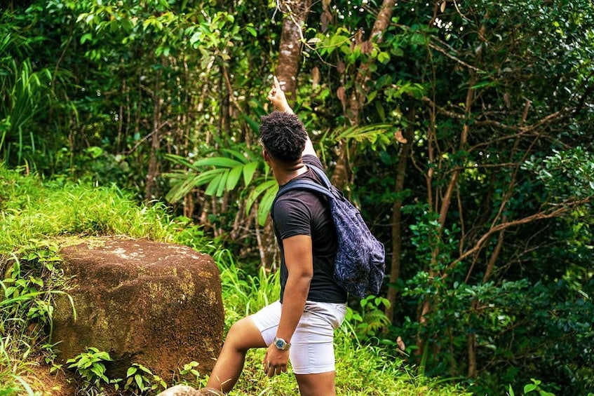 Picture 2 for Activity From Mahe: Guided Nature Trail Walk to Morne Blanc