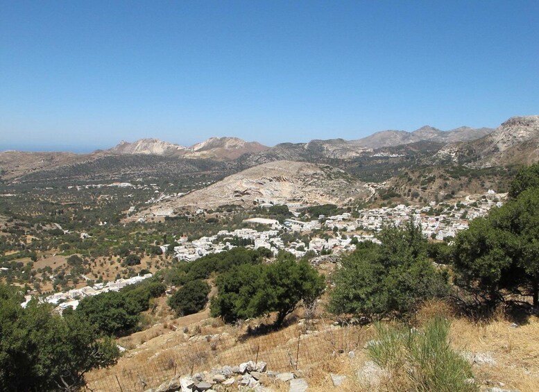 Picture 22 for Activity Naxos: Tour with Statues, Swimming, and Olive Oil Tasting