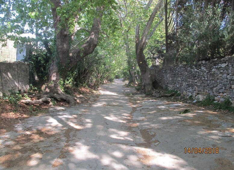 Picture 21 for Activity Naxos: Tour with Statues, Swimming, and Olive Oil Tasting