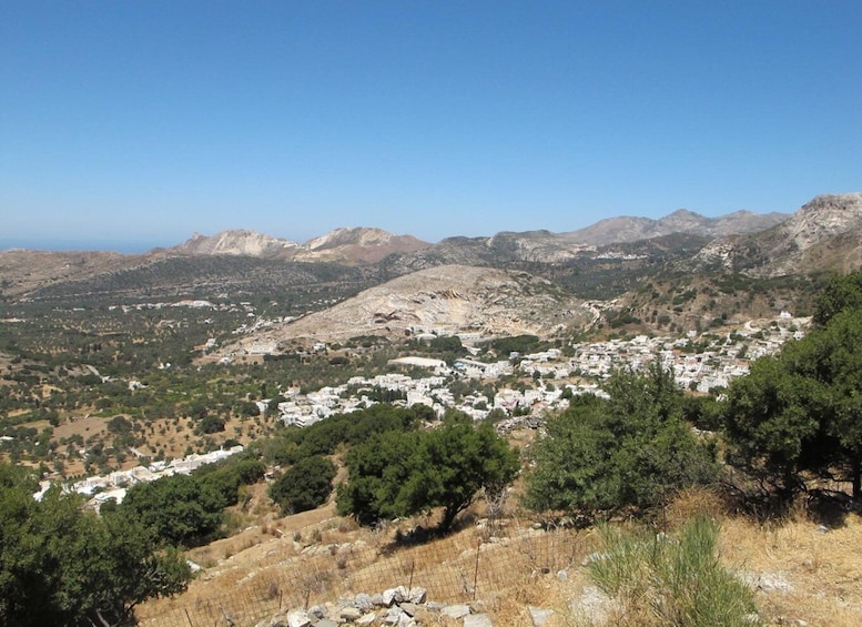 Picture 22 for Activity Naxos: Tour with Statues, Swimming, and Olive Oil Tasting