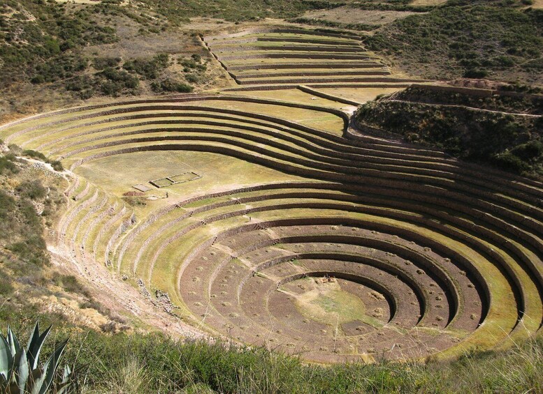 Picture 2 for Activity From Cusco: Chinchero, Maras, Moray, Ollantaytambo and Pisac