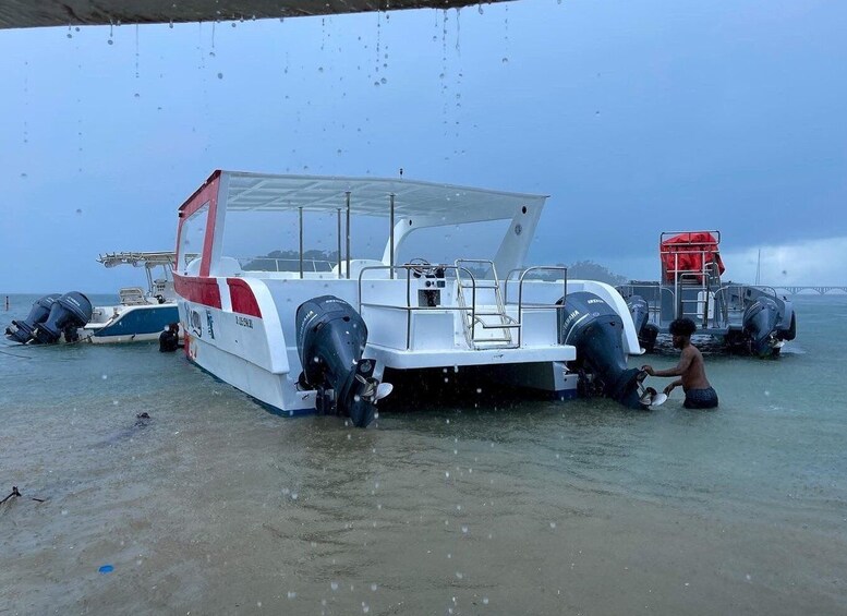 Picture 2 for Activity Samana: Rent Catamaran Boat in Samana Bay