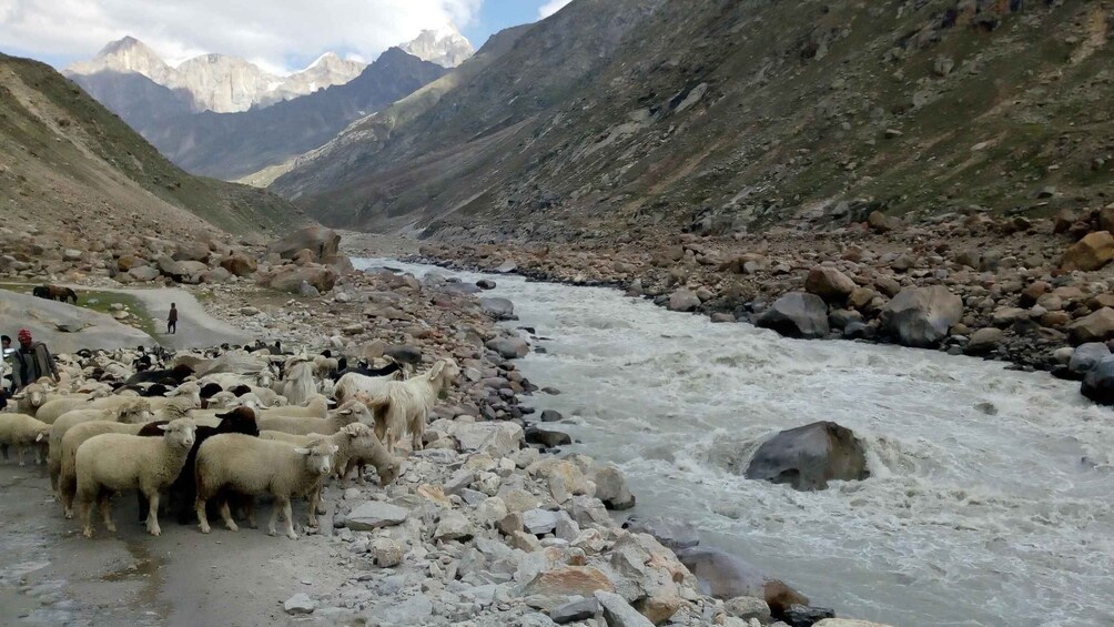 Picture 2 for Activity Hampta Pass With Chandrataal Trek By WDRLUST