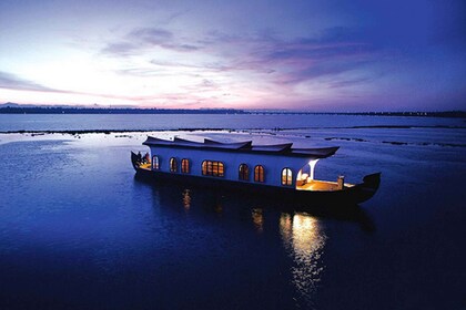 Crociera di 2 ore al tramonto nel porto di Cochin