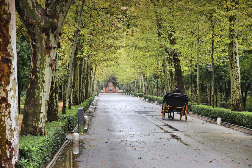 Picture 2 for Activity Seville: City Highlights Private Cyclo Tour