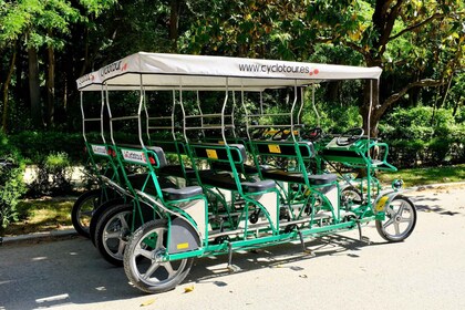 Sevilla: recorrido privado en bicicleta por lo más destacado de la ciudad