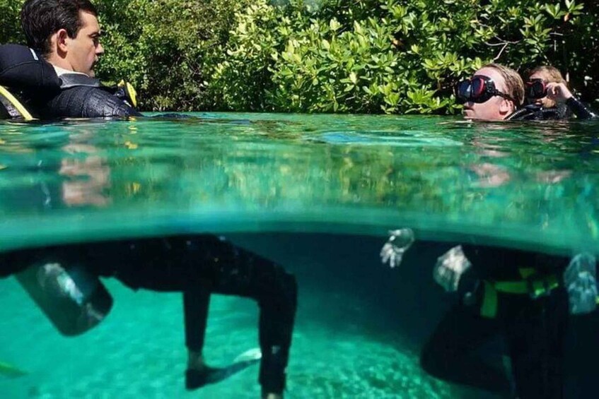 Picture 2 for Activity Tulum: Wonders of the Underwater World Discover Scuba Diving