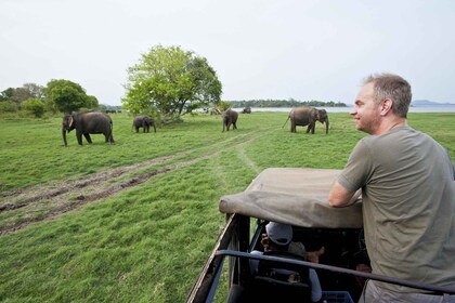 Von Ella: Udawalawe-Safari mit Elephant Transit Home