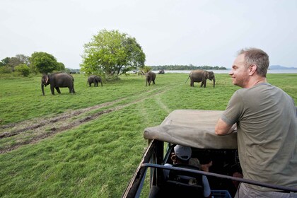 Von Ella: Udawalawe-Safari mit Elephant Transit Home