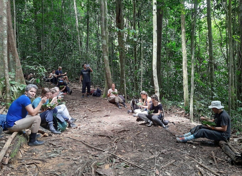 Picture 6 for Activity 3D2N Orangutan Expedition:from Bukit Lawang