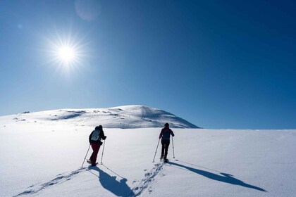 Tromsø : Randonnée en raquettes Fjellheisen de jour et trajet en téléphériq...