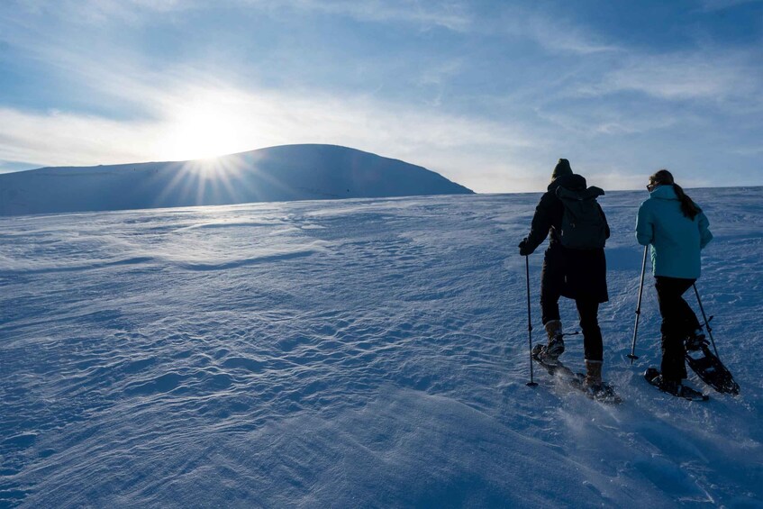 Picture 2 for Activity Tromsø: Daytime Fjellheisen Snowshoe Hike and Cable Car Ride