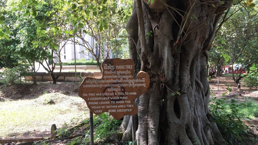 Private Half Day to Killing Field and S21 Genocidal Museum