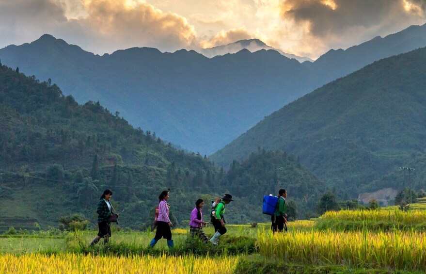 Picture 8 for Activity Sapa 2-Days Trek tour - Stay Sapa Homestay