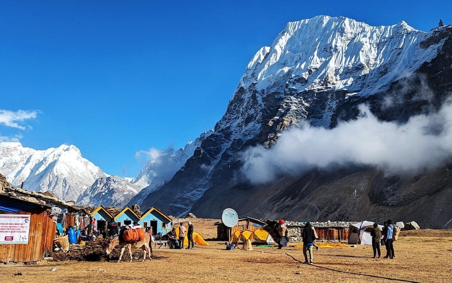 Picture 5 for Activity Kanchenjunga Circuit Trek