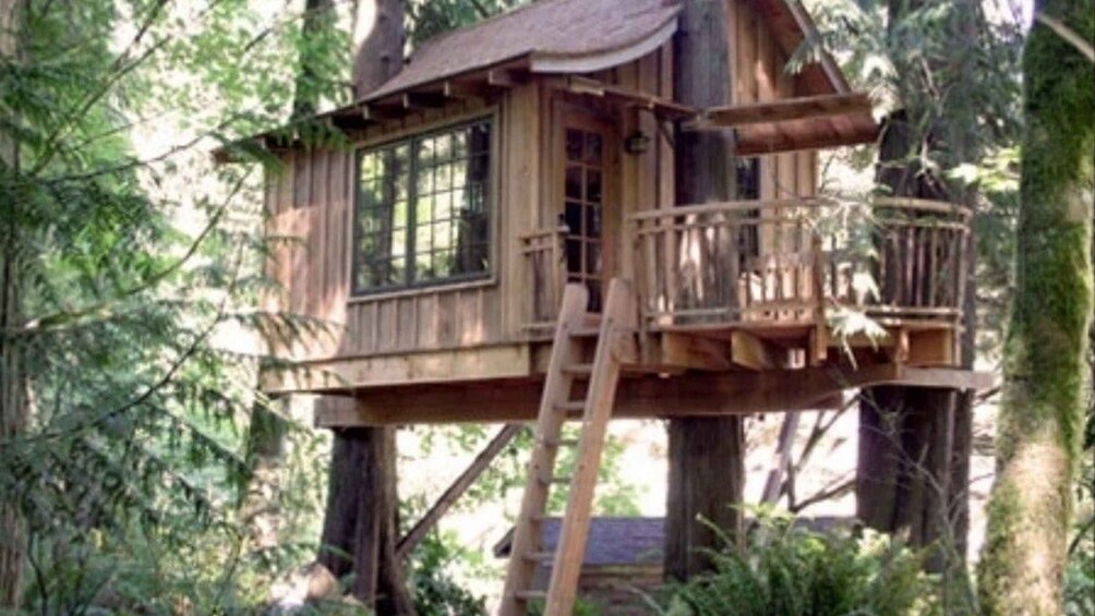 From Cusco: Manu Tree House 4 days/3 nights