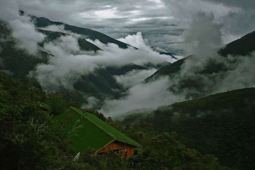 Picture 2 for Activity From Cusco: Manu Tree House 4 days/3 nights