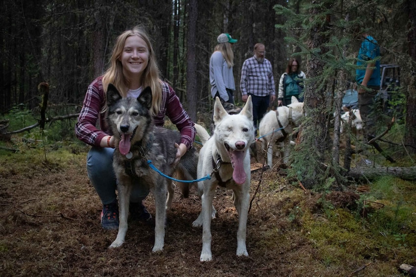 Picture 2 for Activity Fairbanks: Summer Mushing Cart Ride and Kennel Tour