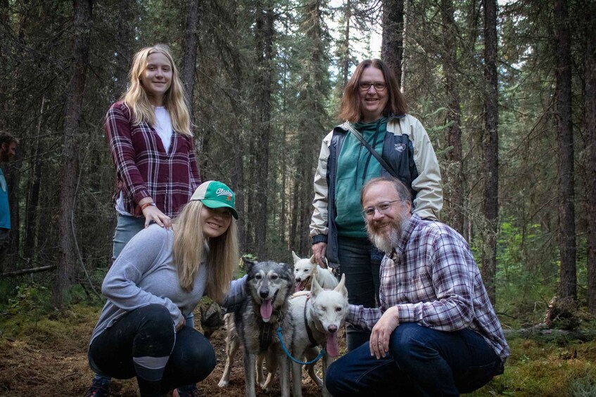 Picture 1 for Activity Fairbanks: Summer Mushing Cart Ride and Kennel Tour